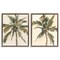 Stupell Industries Majestic Towering Palms 2 pc Framed Floater Canvas Wall Art Set Design by Ethan Harper